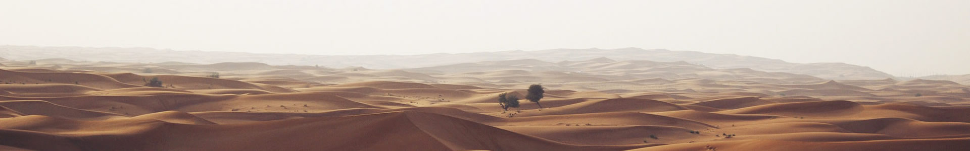 ز¡޹˾